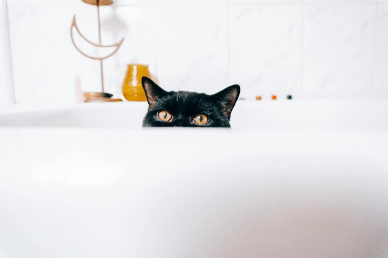 a black cat sitting in a bathtub looking at the camera, by Julia Pishtar, trending on unsplash, hiding behind obstacles, society 6, people watching around, on a canva