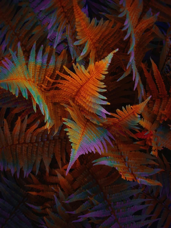 a close up of a plant with many leaves, an album cover, by Gwen Barnard, trending on pexels, generative art, flame ferns, night colors, fractalism, rusty colors