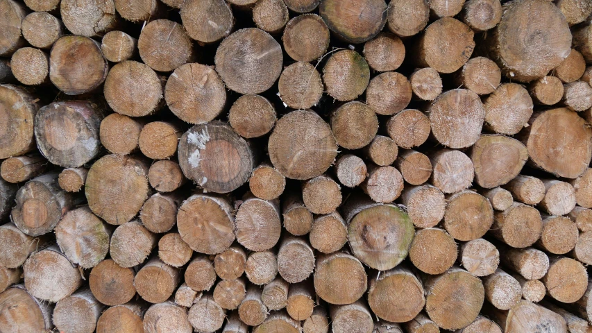 a pile of logs stacked on top of each other, by David Simpson, pexels, fan favorite, bottom body close up, brown, profile image
