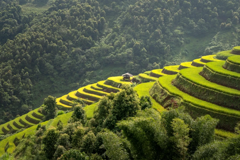 a lush green valley with animals grazing on it