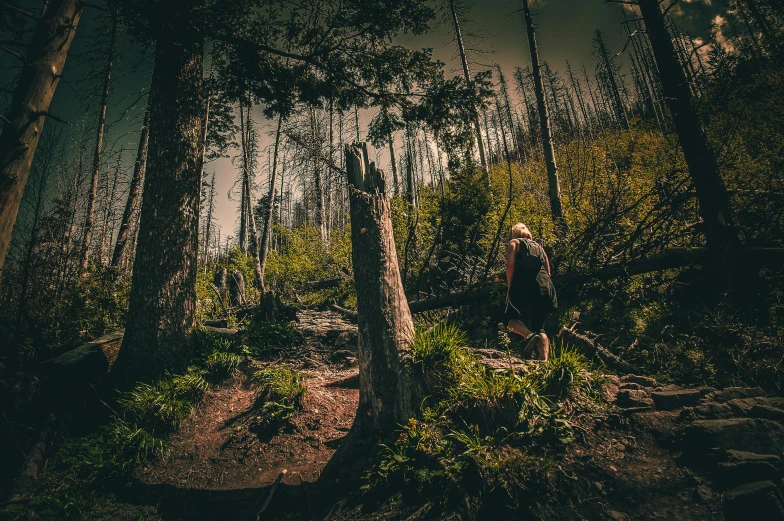 a man walking through a forest at night, a picture, unsplash contest winner, destroyed forest, hiking in rocky mountain, fallen trees, summer evening