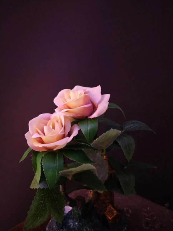 three pink roses and green leaves in a black vase