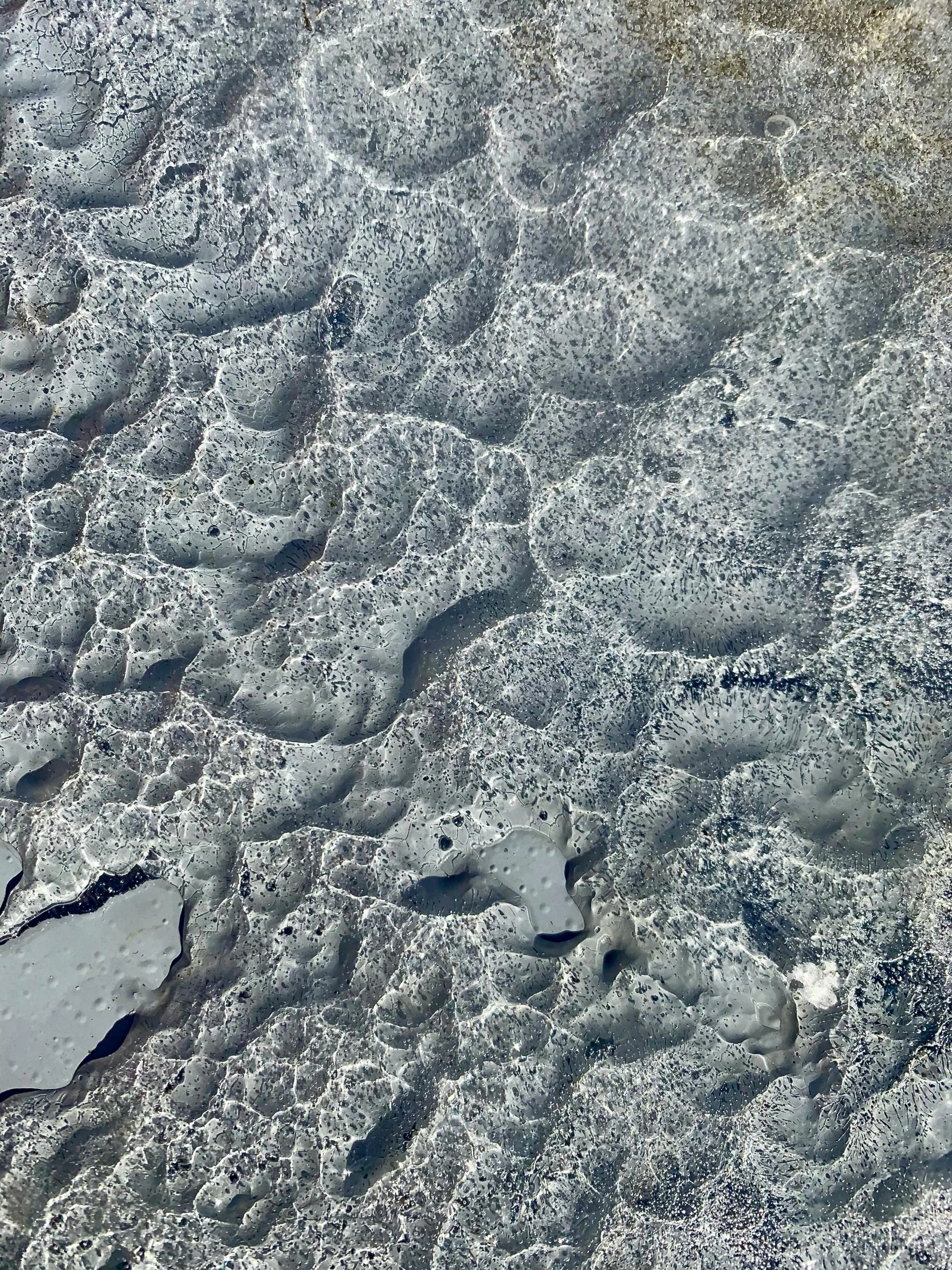 a bird that is standing in the water, a microscopic photo, inspired by Vija Celmins, trending on unsplash, concrete art, aerial view of an ancient land, bubbling skin, /r/earthporn, slate