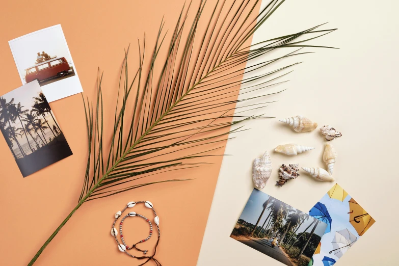 a couple of bracelets sitting on top of a table, a still life, trending on pexels, palm leaves on the beach, magazine collage style, orange pastel colors, studio packshot