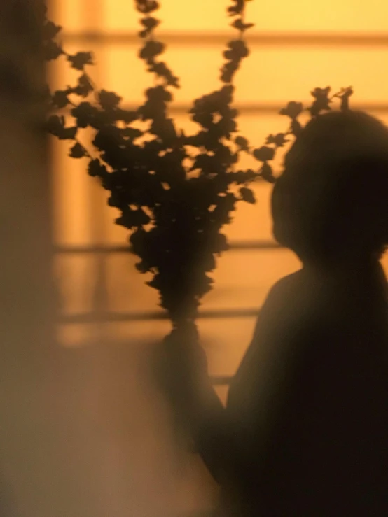 a silhouette of a person holding a vase of flowers, inspired by Nan Goldin, trending on unsplash, silhouette :7, low quality photo