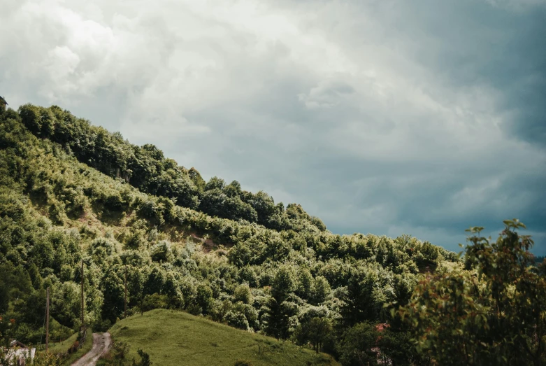 a field with a green hill covered in trees and clouds