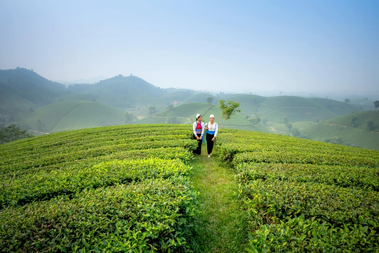 a couple of people walking across a lush green field, by Matthias Stom, shutterstock, sumatraism, teapots, avatar image, bangladesh, green and blue