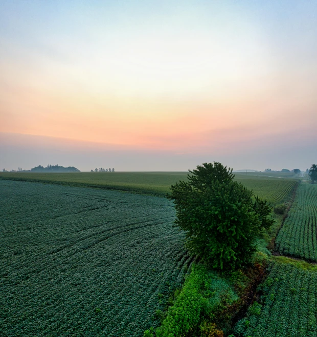 an empty corn field is seen at sunset