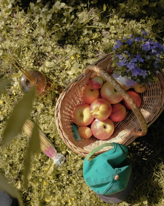 a basket filled with apples sitting on top of a lush green field, inspired by Elsa Beskow, unsplash, a high angle shot, multicoloured, promo still, sun overhead