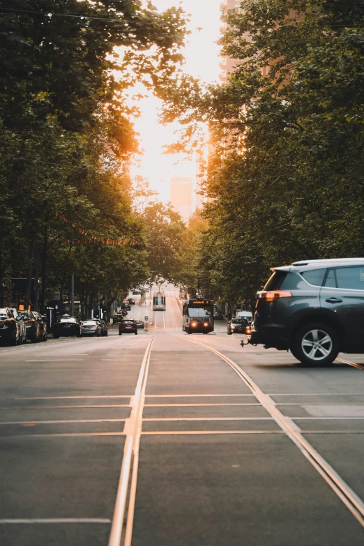 many vehicles driving down a road near trees