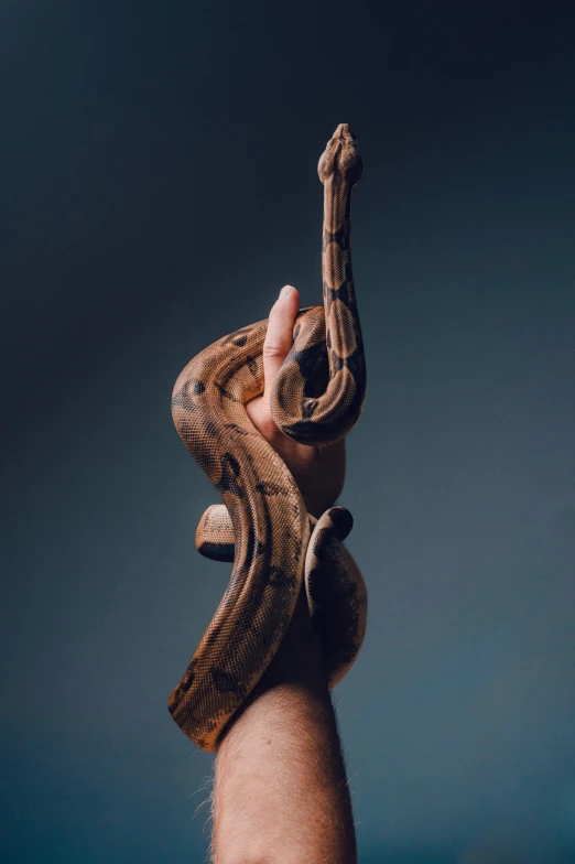 a man holding a snake in his hand, a surrealist sculpture, inspired by Anna Füssli, trending on pexels, lois greenfield, ancient antler deity, style steve mccurry, tall shot