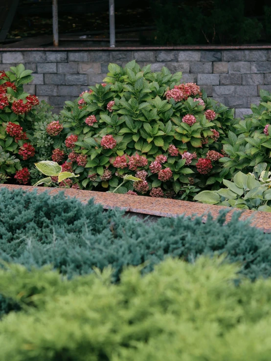 a red fire hydrant sitting in the middle of a garden, a digital rendering, by Carey Morris, unsplash, renaissance, verdant plant wall, copper and deep teal mood, exterior botanical garden, bushes of blueberry