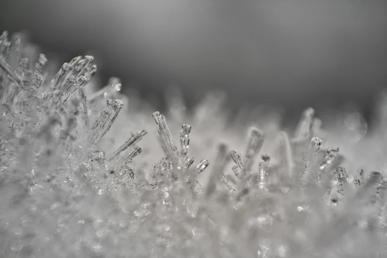 a close up of some ice crystals, a macro photograph, pexels, 3d with depth of field, tokujin yoshioka, close-up!!!!!!