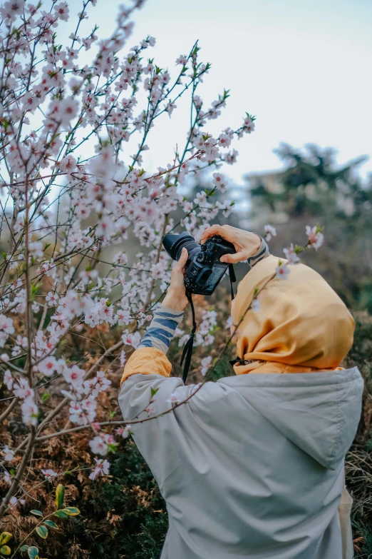 a person taking a picture of a tree with a camera, inspired by Steve McCurry, unsplash contest winner, woman in flowers, taken in the early 2020s, wearing a hoodie and flowers, professional dslr photo