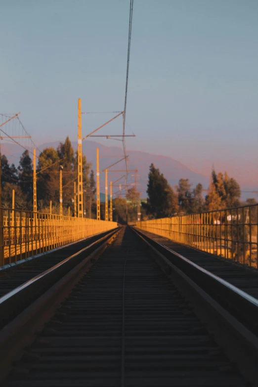 a train traveling down train tracks next to a forest, during a sunset, mexico city, bridge, shot on sony a 7