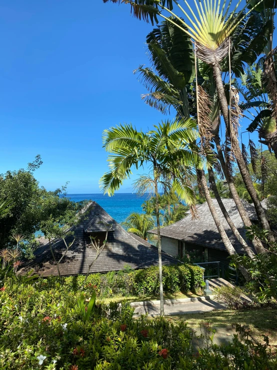 huts and palm trees near the ocean on a sunny day