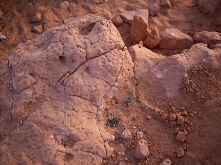 a close up of a rock in the desert, by Jessie Algie, unsplash, land art, martian, background image, moab, high angle shot