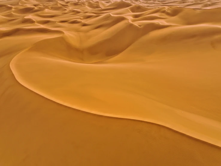 the vast desert and the sand is mostly covered in ridges