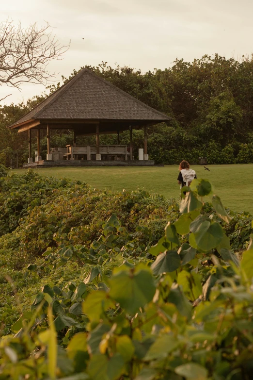 a lone woman with an umbrella in a park