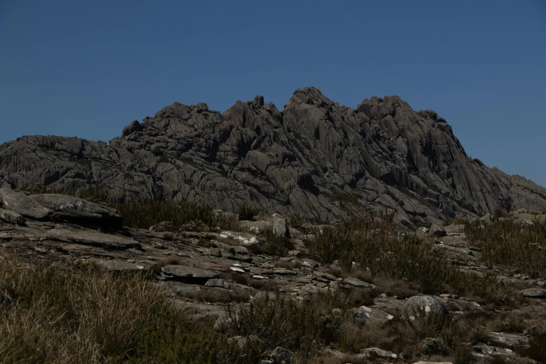 mountains in the distance with lots of shrubbery and tall grass