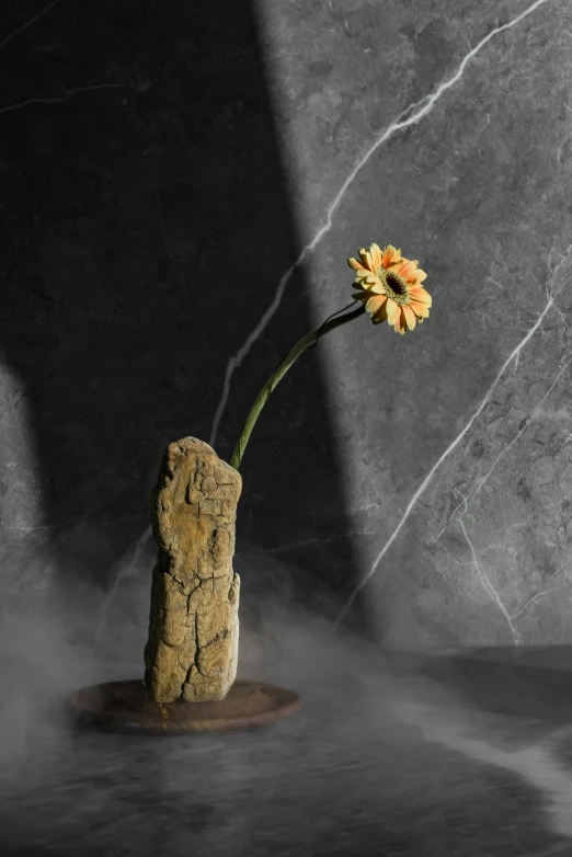 a close up of a vase with a flower in it, a surrealist sculpture, inspired by Wang Wei, conceptual art, with jagged rocks and eerie, minimal composition, driftwood, with yellow flowers around it