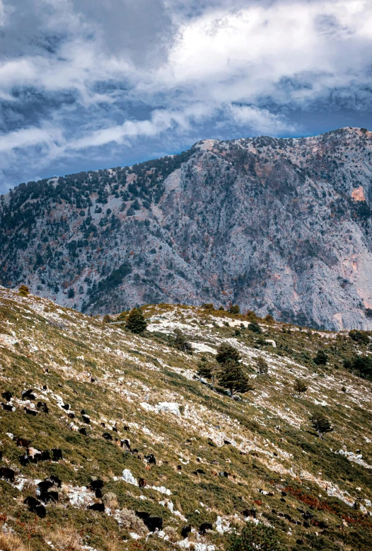 the top of a mountain is covered in grass