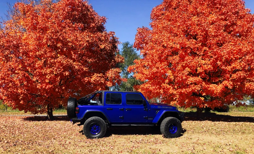 a blue jeep parked in front of an orange tree, by Gwen Barnard, pexels contest winner, maple trees with fall foliage, 8 k highly detailed ❤🔥 🔥 💀 🤖 🚀, fullbody view, dayglo blue