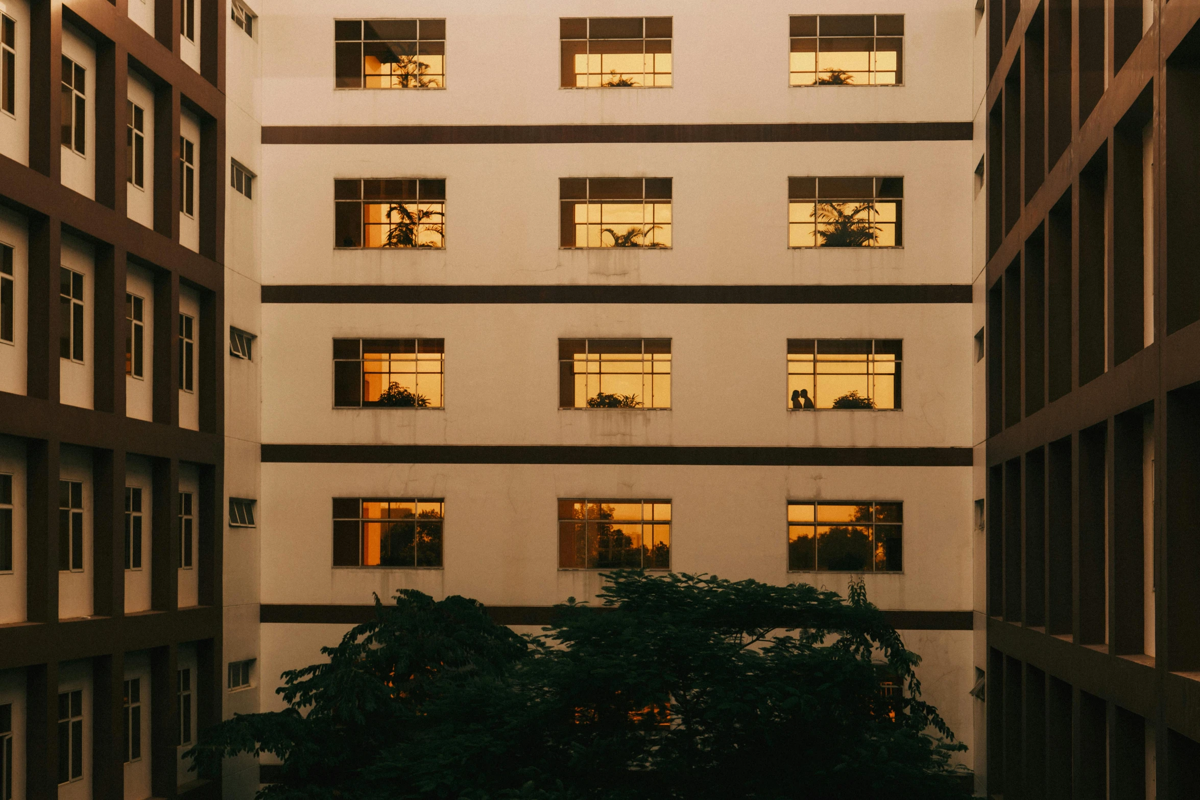 a building with several windows reflecting light and a tree