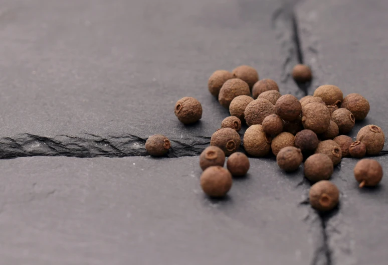 a pile of nuts sitting on top of a stone floor, pepper, muted brown, metaballs, detailed product shot