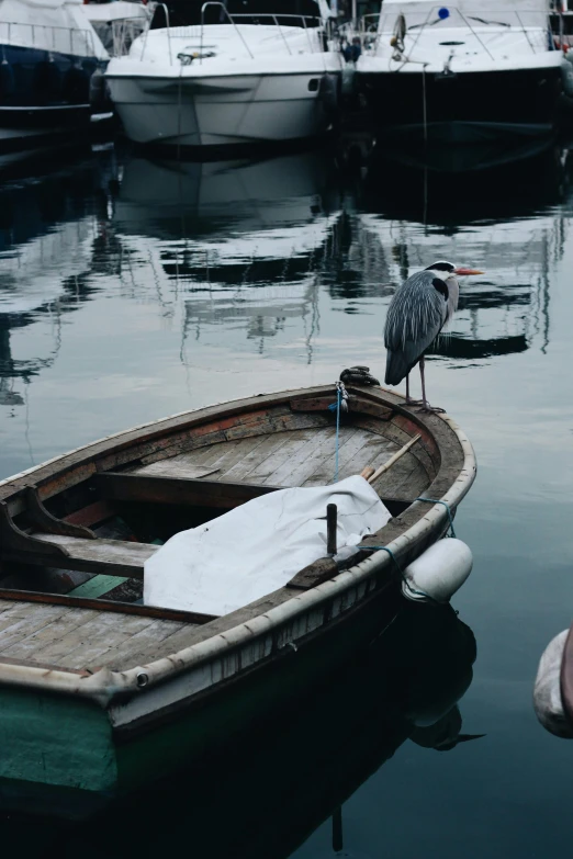 a bird is sitting on a boat in the water, pexels contest winner, grey color scheme, san francisco, wooden boat, multiple stories