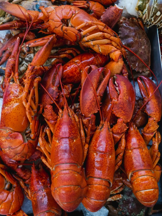 a pile of lobsters sitting on top of a table