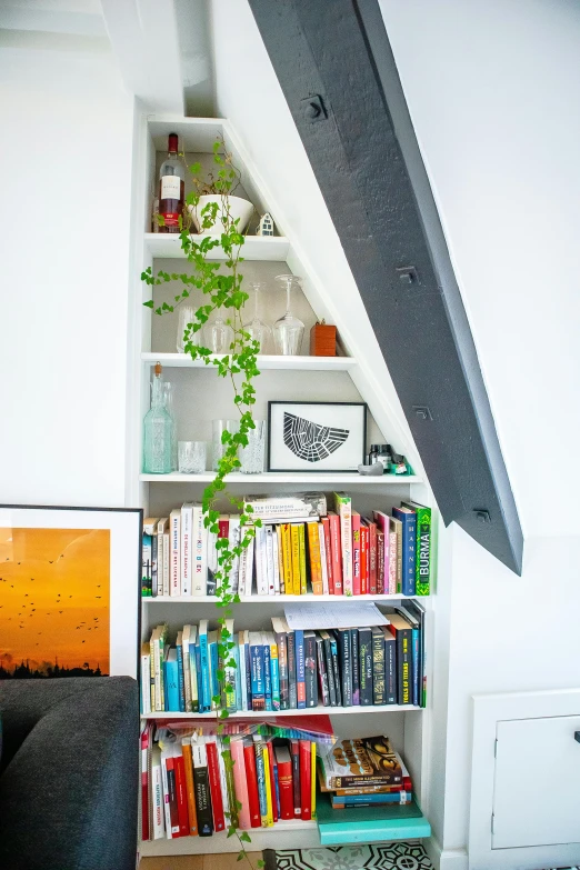 a bookshelf filled with lots of books next to a couch, featured on reddit, light and space, ivy vines, studio shot, slanted ceiling, with a white background