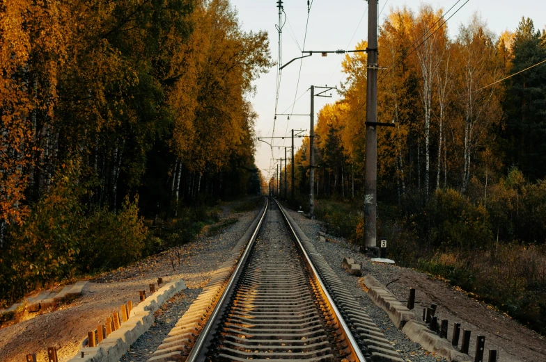 a train track in the middle of a forest, unsplash, realism, late summer evening, traditional russia, 2022 photograph, 2000s photo