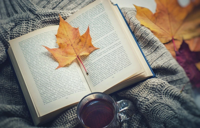 an open book sitting on top of a table next to a cup of tea, a photo, pexels contest winner, romanticism, chilling on a leaf, wearing a dark sweater, restoration, autumnal