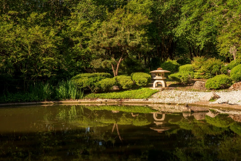 a small pond sits beneath a lush green forest