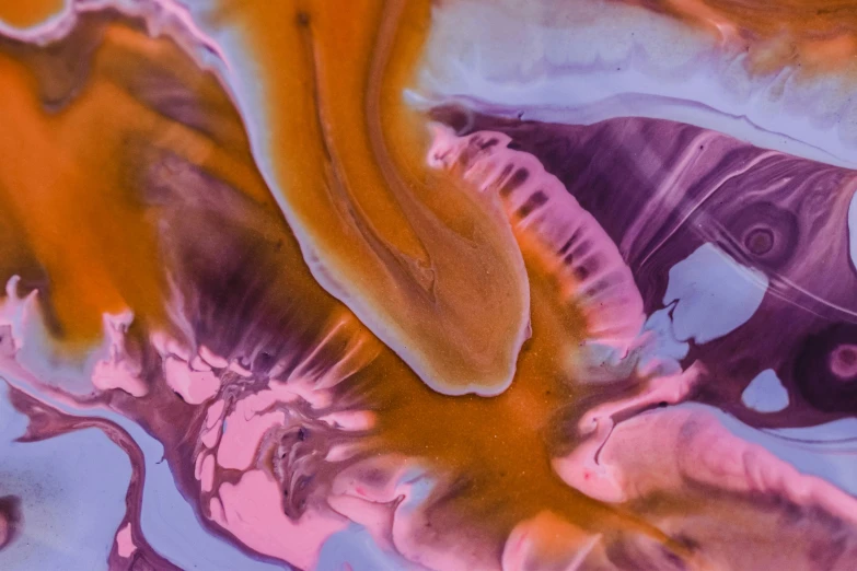 a close up of a painting of oranges and purples, inspired by Lynda Benglis, trending on pexels, abstract art, swirly liquid fluid abstract art, caramel, a purple fish, xray melting colors