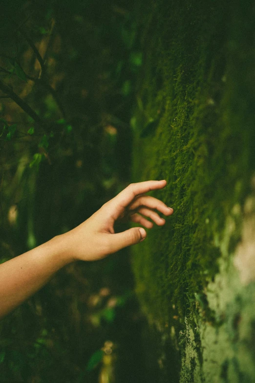 someone is reaching out to the side of some moss