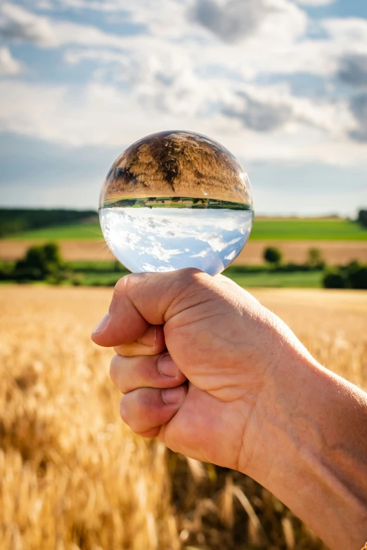 a person holding up a crystal ball in the middle of a field