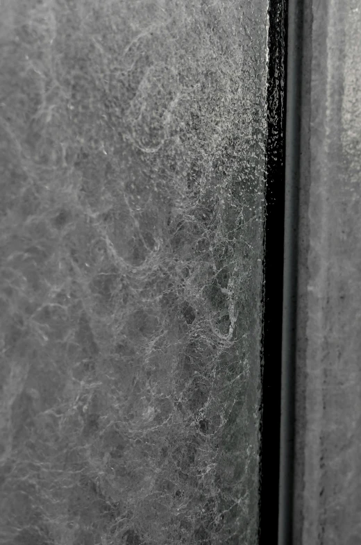 a black and white photo of the inside of a refrigerator, by Peter Zumthor, abstract expressionism, skin grain detail, frosted glass, tokujin yoshioka, medium close - up ( mcu )