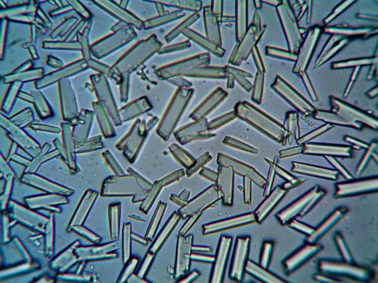 a close up view of the inside of a microscope, a microscopic photo, by Jan Rustem, pexels, crystal cubism, high detailed thin stalagtites, rice, fibres trial on the floor, taken in the mid 2000s