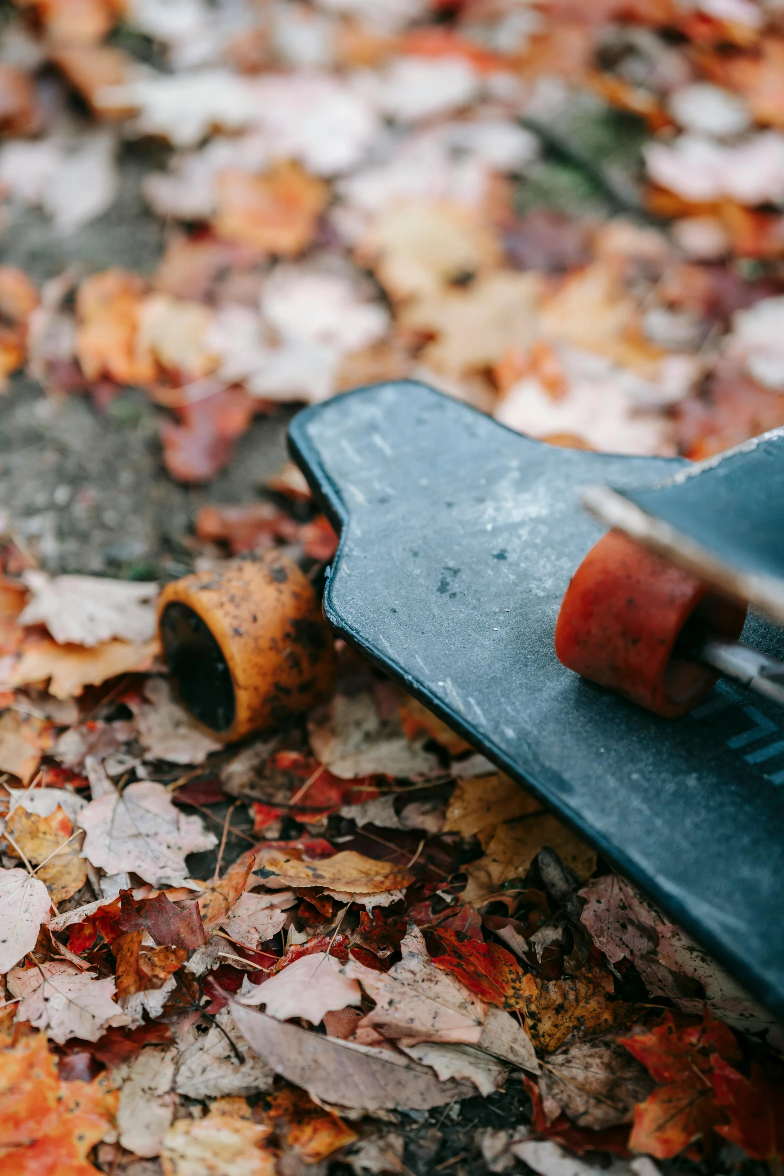 a skateboard sitting on top of a pile of leaves, top selection on unsplash, slide show, debris on ground, splash image