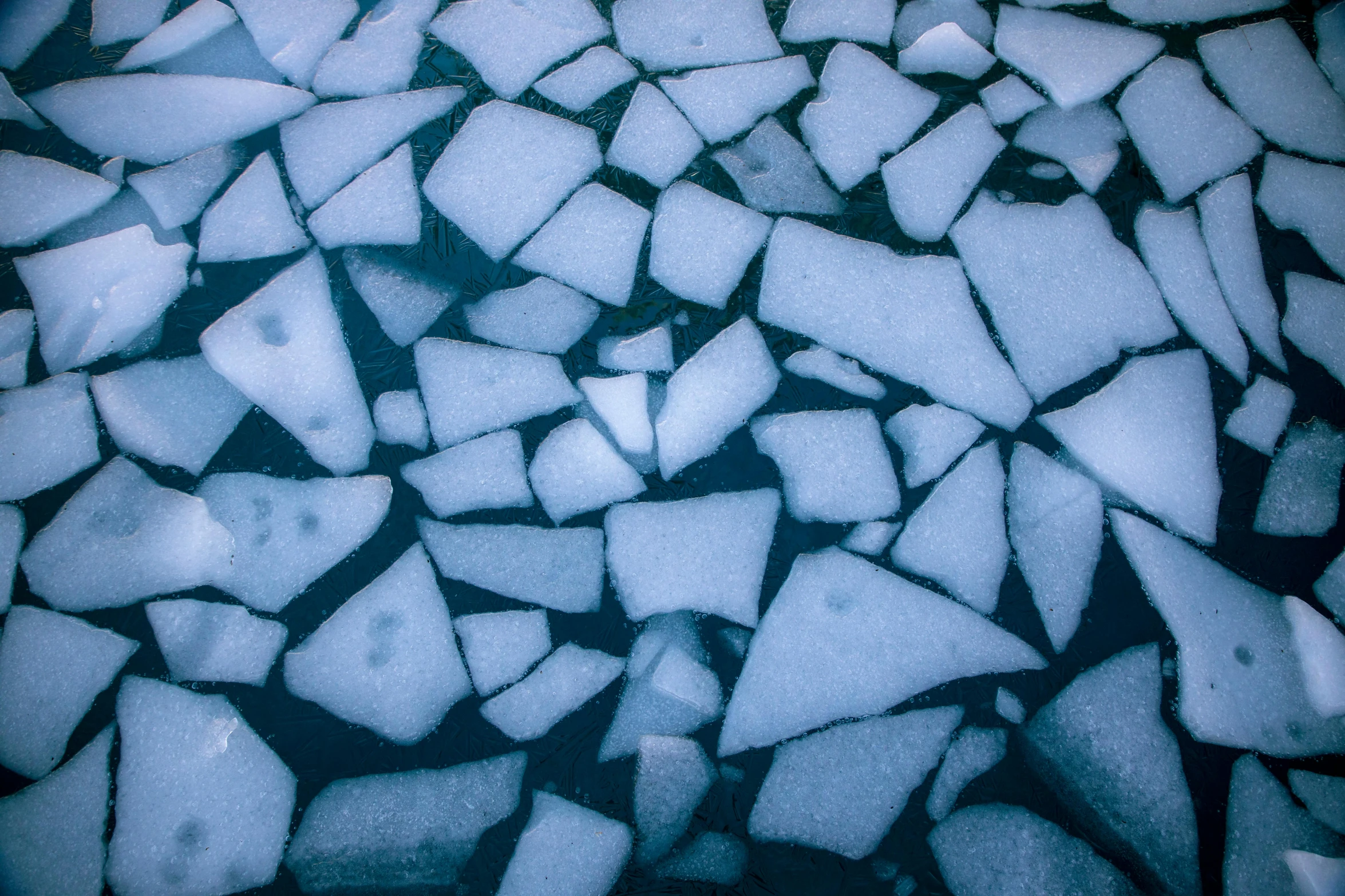 a group of pieces of ice sitting on top of a body of water, inspired by Vija Celmins, unsplash, crystal cubism, 2 0 0 0's photo, fan favorite, north pole, sean mcloughlin