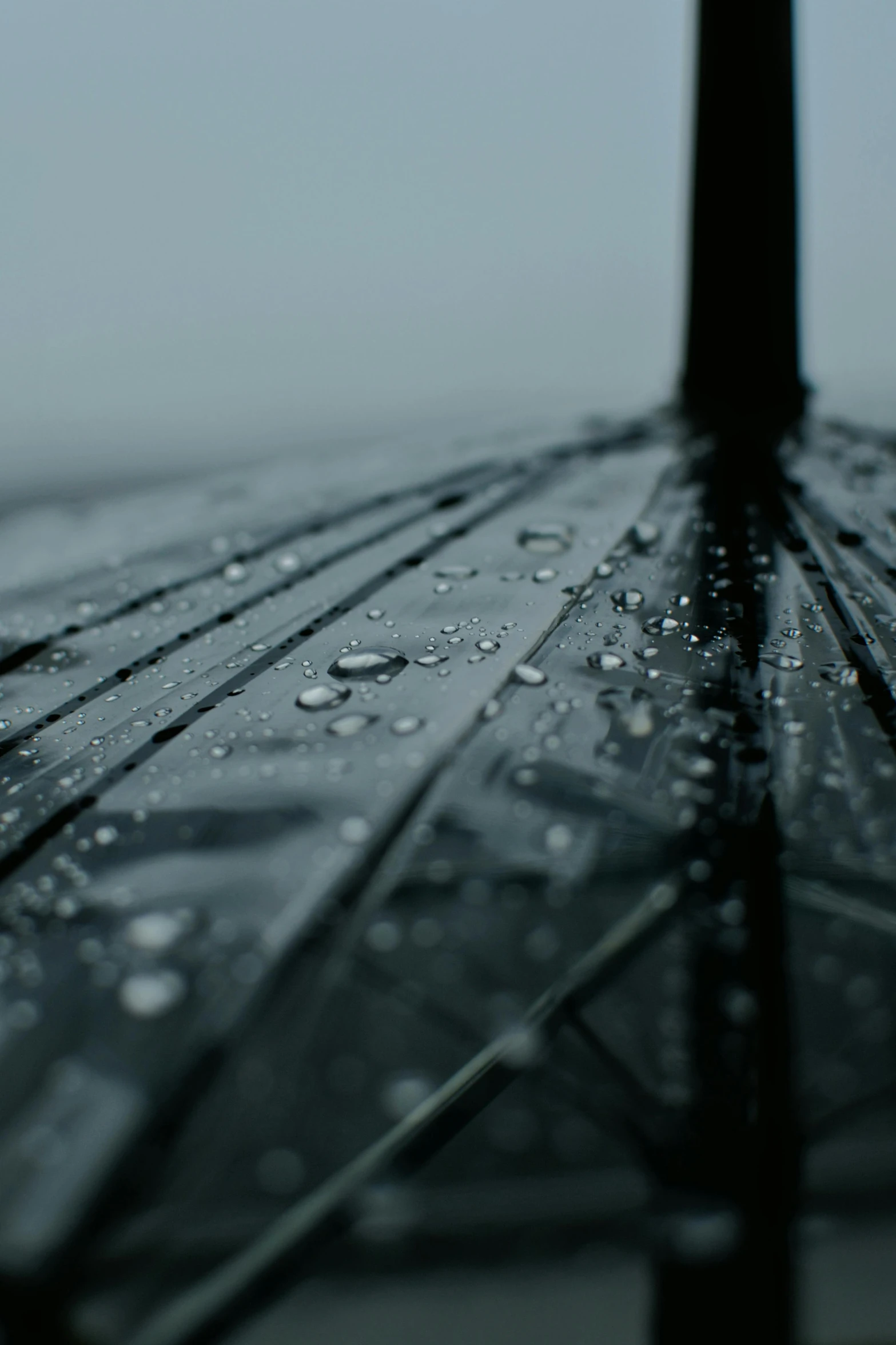 a close up of an umbrella with water droplets on it, an album cover, pexels contest winner, black, today\'s featured photograph 4k, multiple stories, minimal