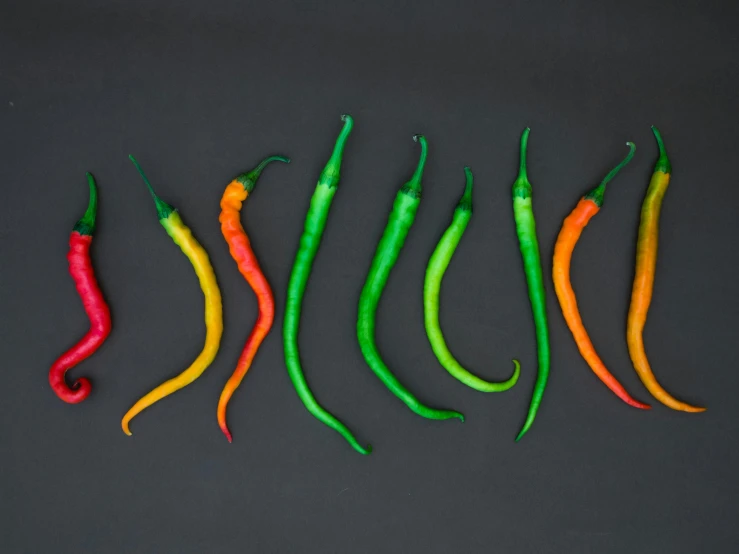 a row of chili peppers on a black background, an album cover, inspired by Jan Rustem, trending on pexels, 9 peacock tails, big pods, tall thin, chartreuse and orange and cyan