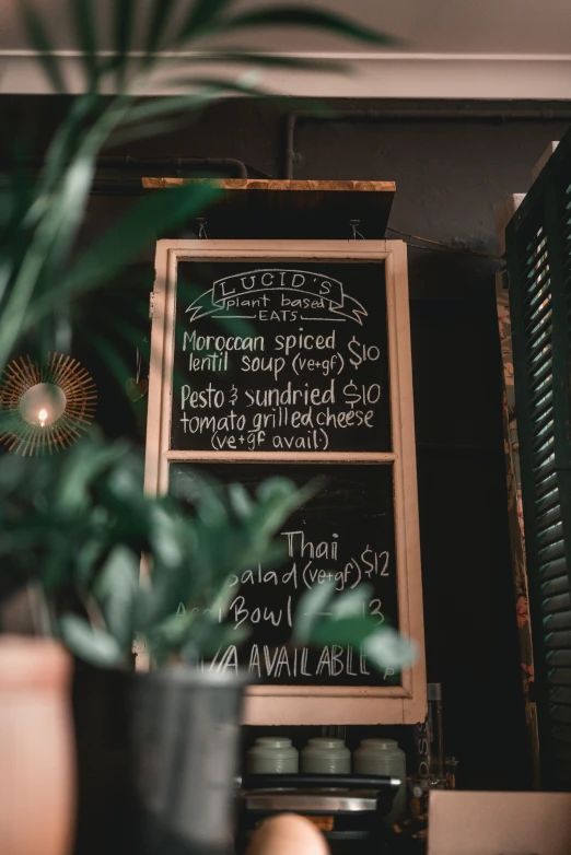 a menu on a chalk board next to a potted plant, thumbnail, casually dressed, indoor picture