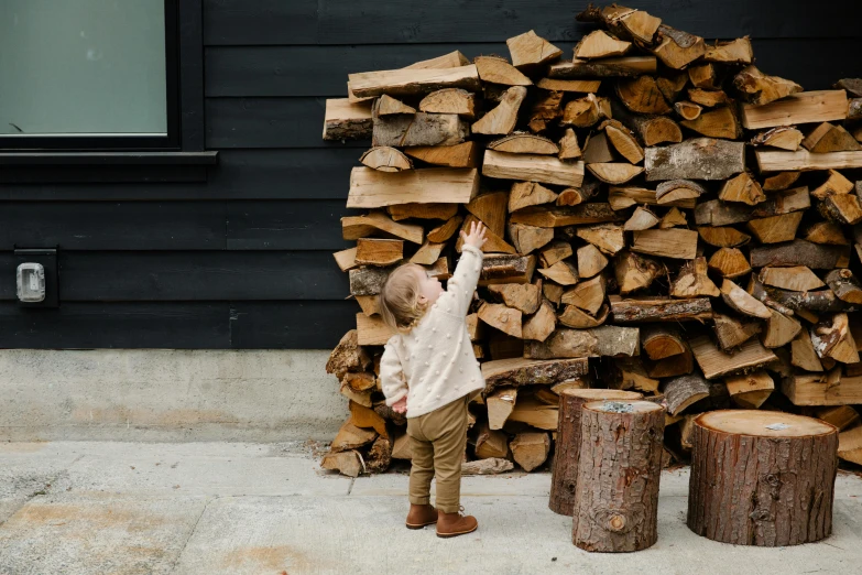 a little boy standing in front of a pile of wood, by Jesper Knudsen, pexels contest winner, warm fireplace, dwell, reclaimed lumber, owen klatte