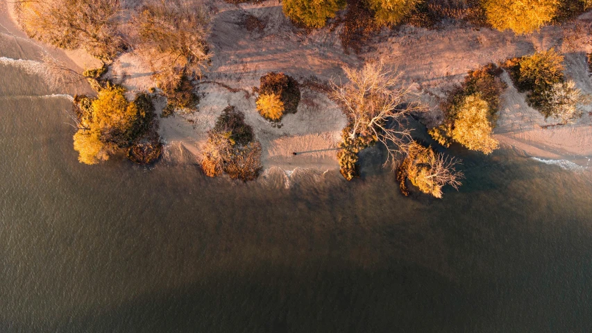 an aerial view of a body of water surrounded by trees, by Peter Churcher, unsplash contest winner, australian tonalism, pink golden hour, shore of the lake, humans exploring, dry trees