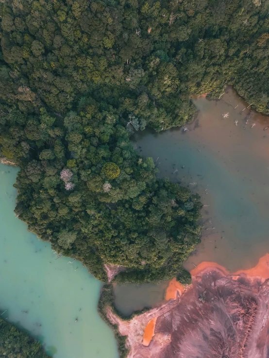 an aerial view of a river surrounded by trees, a screenshot, pexels contest winner, sumatraism, muted colours 8 k, photo 8 k, green waters, an island made of red caviar