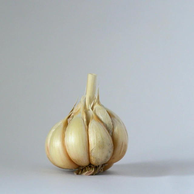 a close up of a clove of garlic, unsplash, hyperrealism, beige, hyperrealistic n- 4, single, side front view