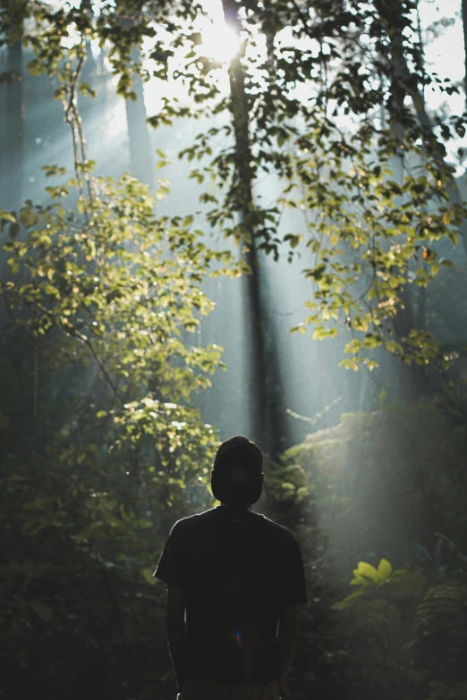 a person standing in the middle of a forest, light and space, pondering, instagram post, god light, backlite